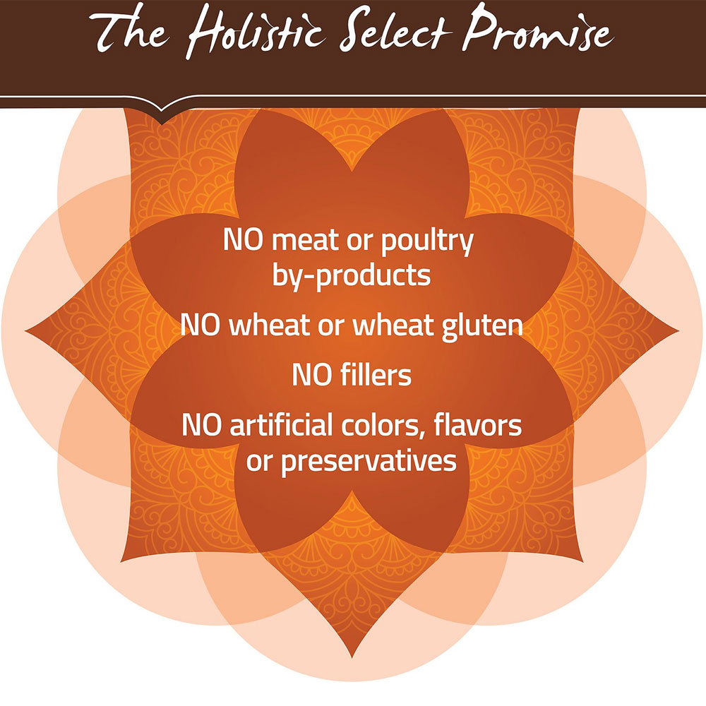 Holistic Select Weight Management Chicken Meal & Peas Recipe Dry Dog