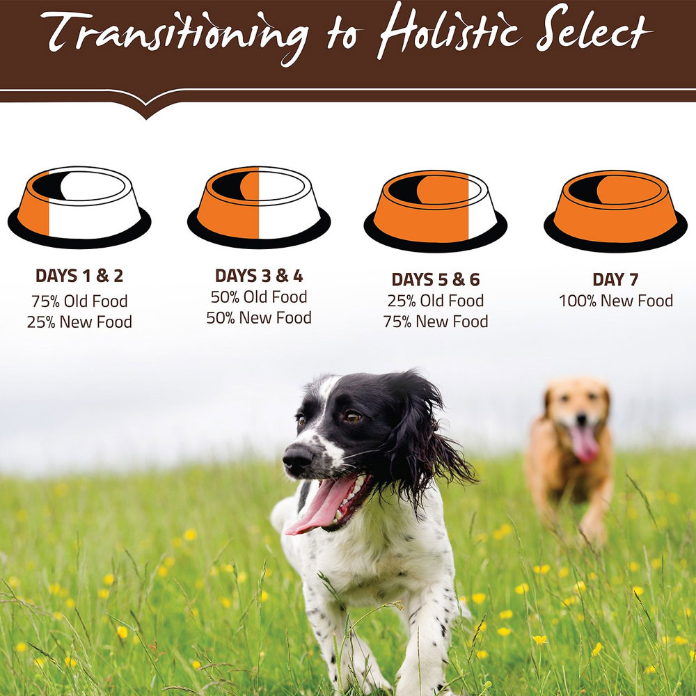 Holistic Select Weight Management Chicken Meal & Peas Recipe Dry Dog