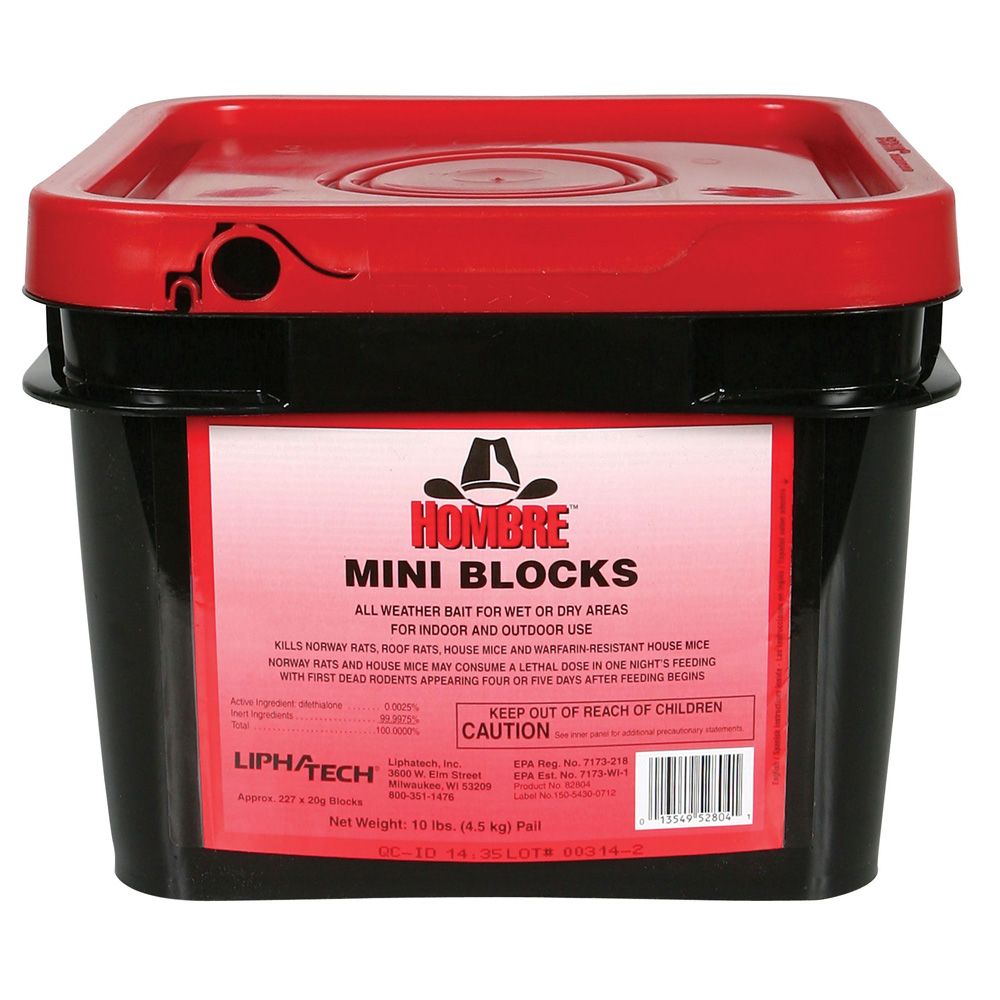 HOMBRE-MINI-BLOCKS-10LB