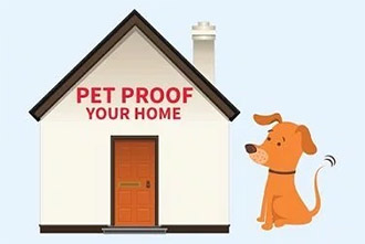 Home Hazards For Pets [Infographic]