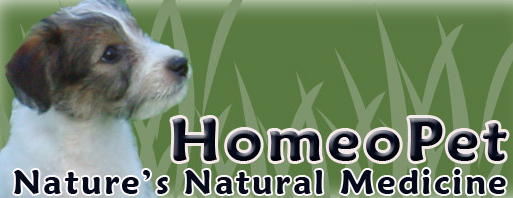 HomeoPet- Nature's Natural Medicine