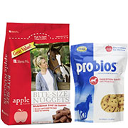 Horse Treats