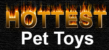 Hottest Pet Toys