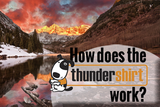 How Does ThunderShirt Work?