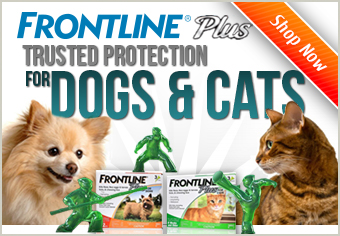 How To Apply Frontline Plus