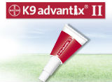 Learn How to Easily Apply K9 Advantix II to Your Dog