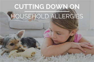 How to Cut Down on Household Allergies