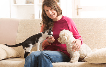 How to Keep Your Pet Calm and Comfortable This Holiday Season