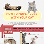 How To Move Houses With Your Cat