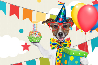How to Plan the Perfect Party for Your Dog