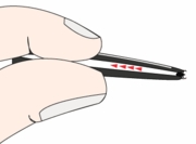 How To Safely Remove Ticks From Dogs