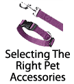 How To Select The Right Pet Accessories