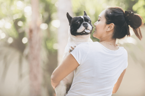 How to Treat Fungal Yeast Infections in Dogs