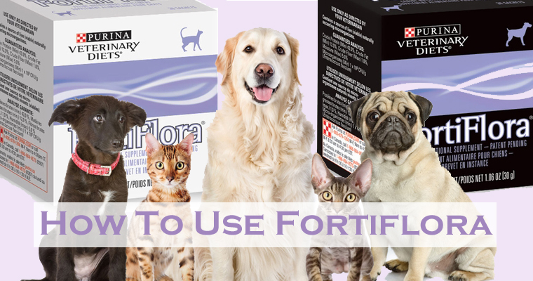 How to Use Fortiflora