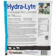 Hydra-Lyte Electrolyte Replacement, 5.76oz