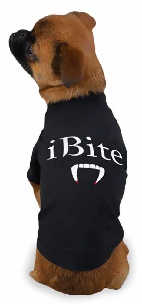 IBITETEE