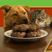 Importance of Nutrition