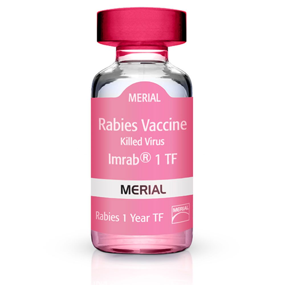 IMRAB-1-TF-50X1-DOSE