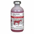 Imrab Large Animal (25 Doses)