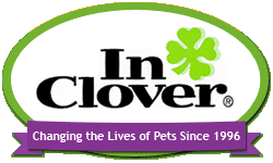 In Clover Animal Healthcare Company