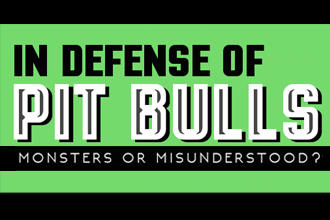 In Defense Of Pit Bulls [Infographic]