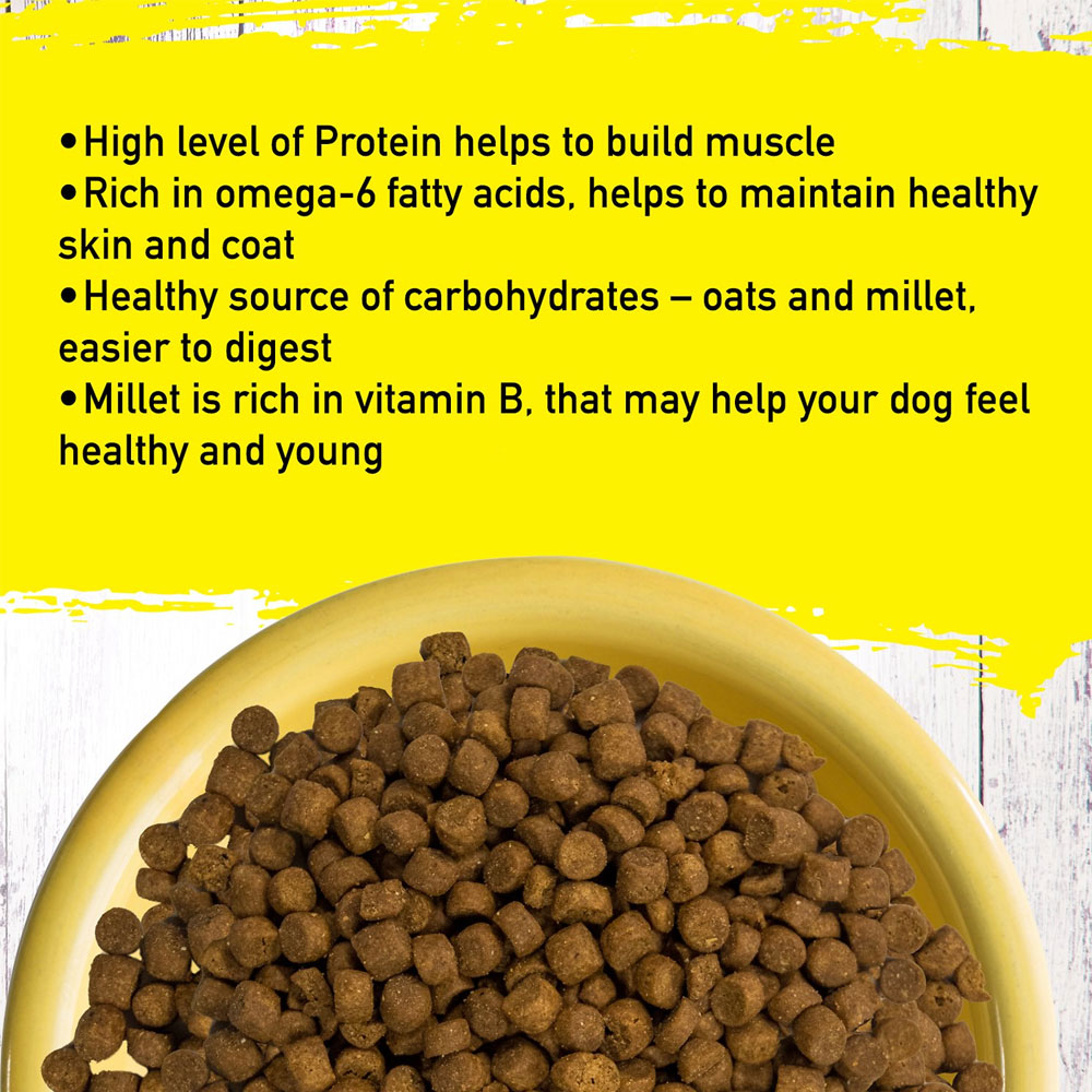 Inception Chicken Recipe Dry Cat Food, 13.5lb bag On Sale EntirelyPets