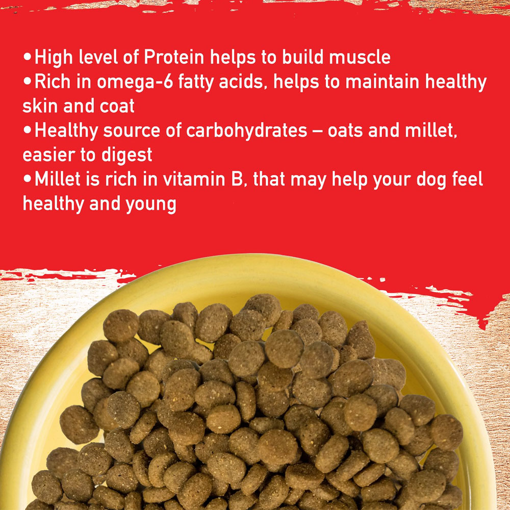 Inception Pork Recipe Dry Dog Food, 4lb bag On Sale EntirelyPets