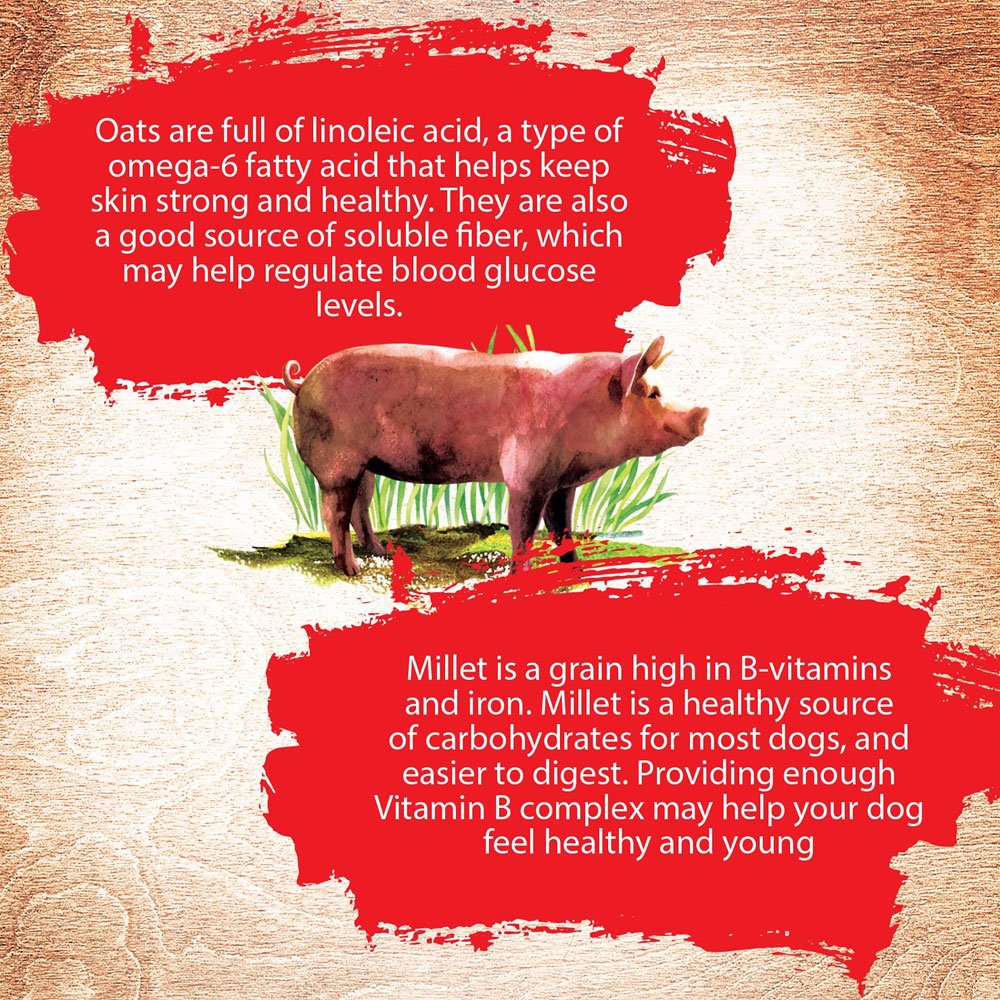 Inception Pork Recipe Dry Dog Food, 4lb bag On Sale EntirelyPets