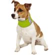 Insect Shield Neck Gaiter Medium - Green