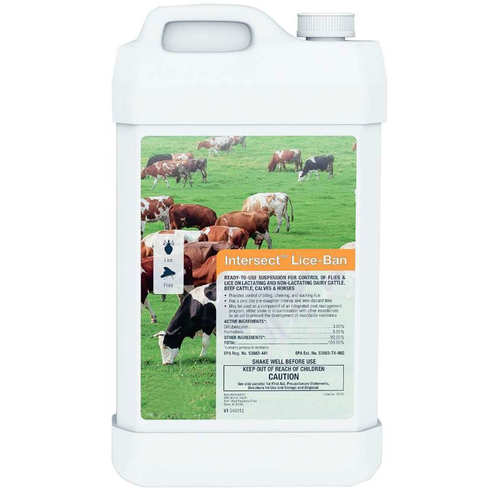 INTERSECT-LICE-BAN-READY-TO-USE-SUSPENSION-2GAL