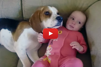Is Anyone Else Grateful For How Much Your Dog Loves His Baby Human?