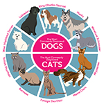 Is My Dog Or Cat Diabetic? 