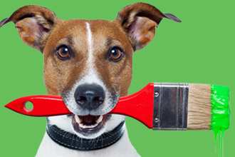 Is Your Paint Pet Safe?