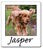 Jasper (06/18/07)