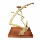 Java Wood Table Top Play Stand (22"x14"x22") Java Wood Table Top Play Stand (22"x14"x22")