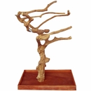 Java Wood Tree Box (40"x24"x61") - Large Java Wood Tree Box (40"x24"x61") - Large