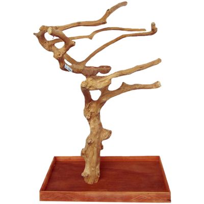 JAVA-WOOD-TREE-BOX-40X24