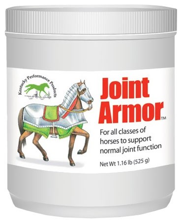 Joint Armour