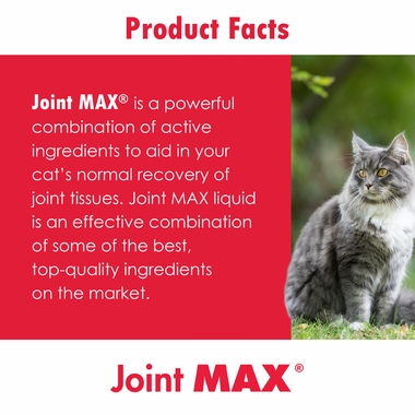 JOMAXLICA