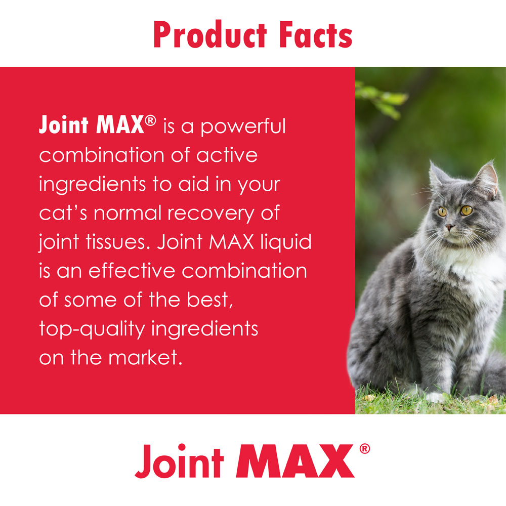 JOMAXLICA