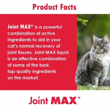 JOINTMAXCATSC