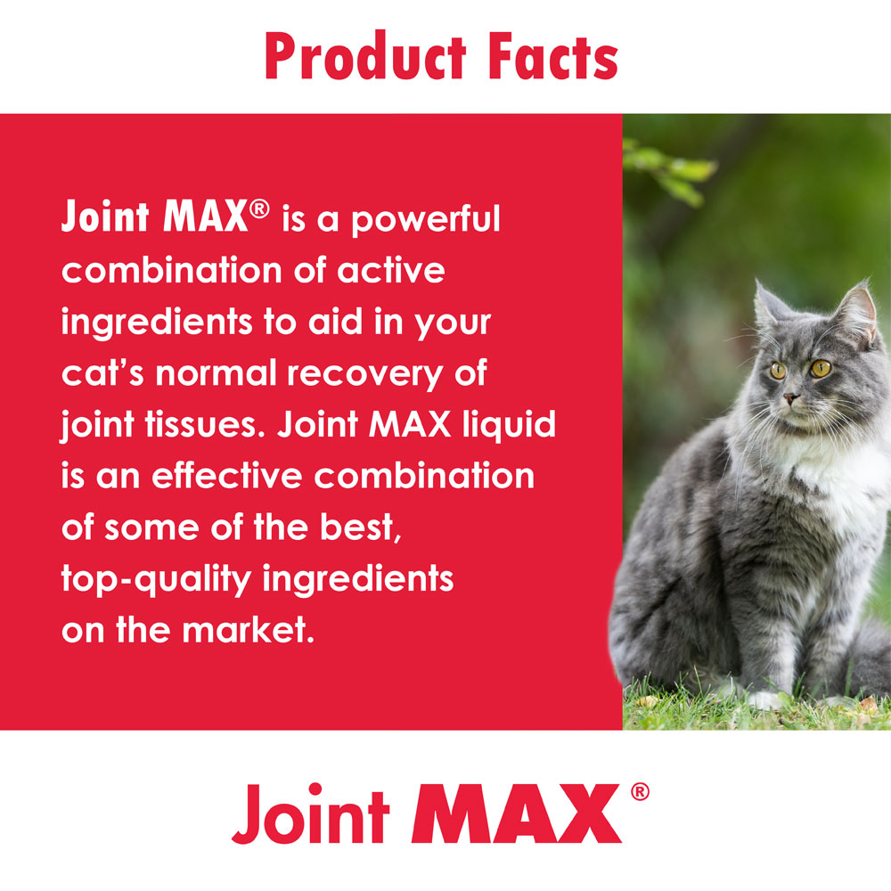 JOINTMAXCATSC
