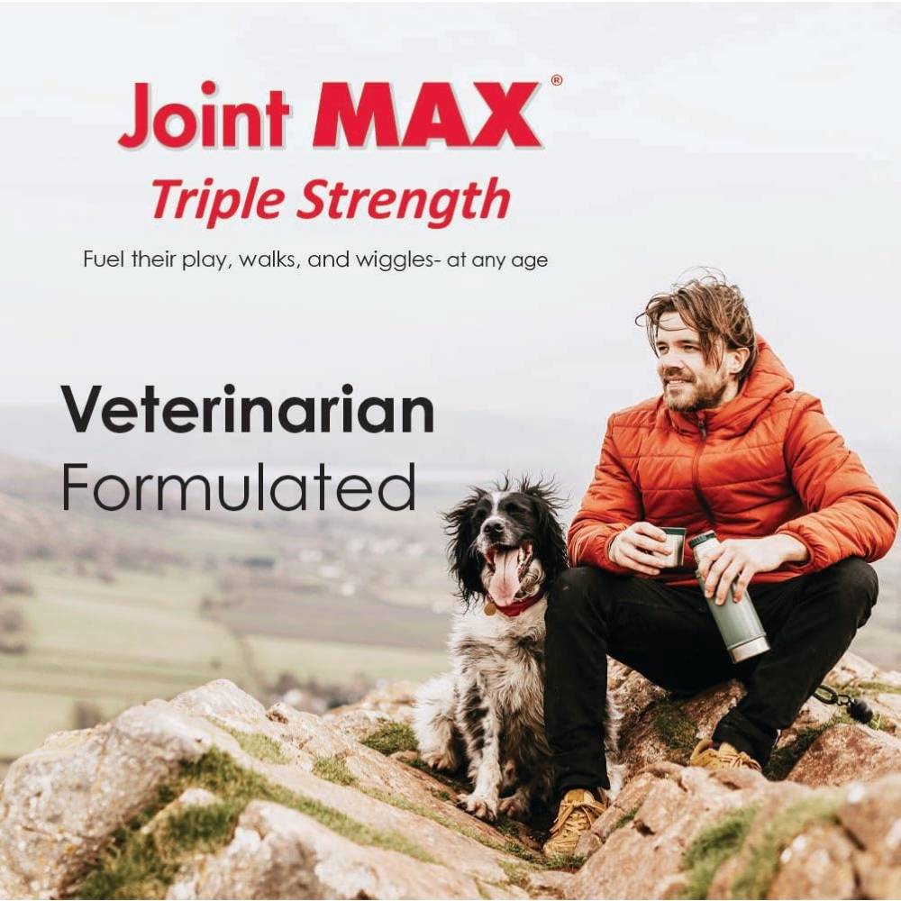 JOINT-MAX-TS-30-SOFT-CHEWS