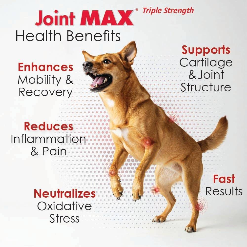 JOINT-MAX-TS-30-SOFT-CHEWS