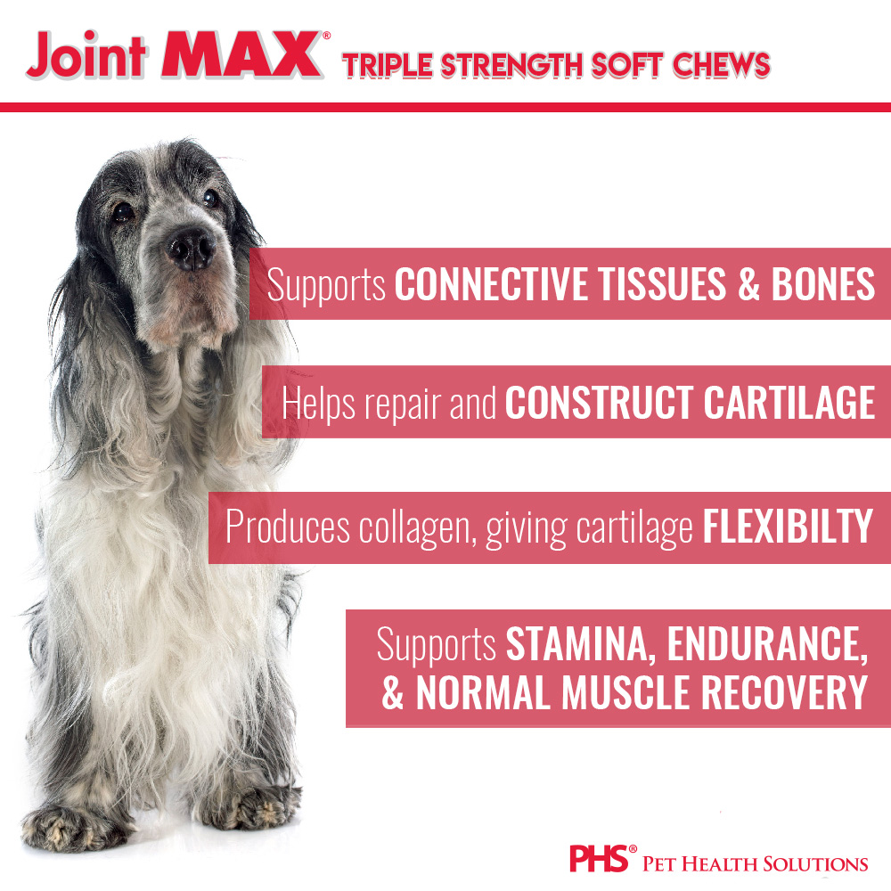 JOINT-MAX-TRIPLE-STRENGTH-SOFT-CHEWS
