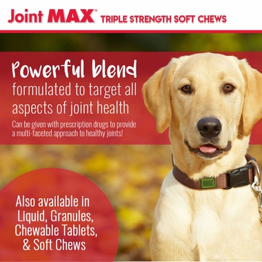 JOINT-MAX-TRIPLE-STRENGTH-SOFT-CHEWS