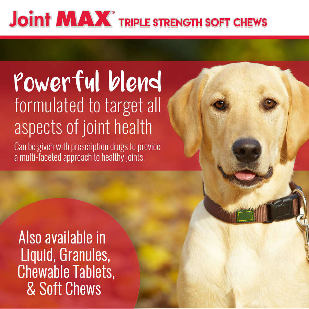 JOINT-MAX-TRIPLE-STRENGTH-SOFT-CHEWS