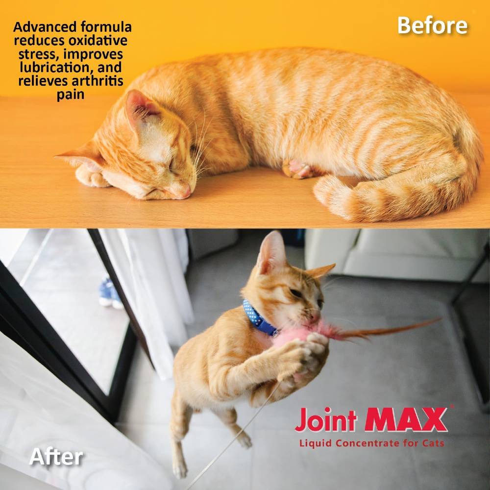 JOINT-MAX-TS-LIQUID-CONCENTRATE-FOR-CATS-HEALTH-2-FLOZ