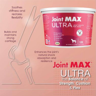 JOINT-MAX-ULTRA-120-CHEWS