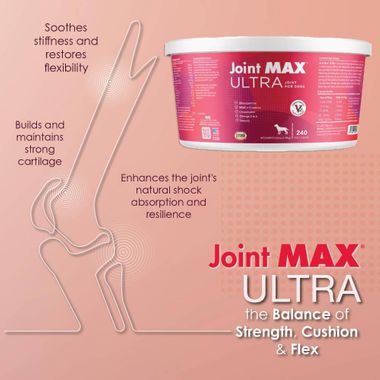 JOINT-MAX-ULTRA-240-CHEWS